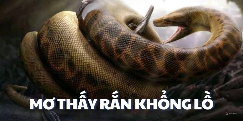 Chiêm bao thấy rắn khổng lồ
